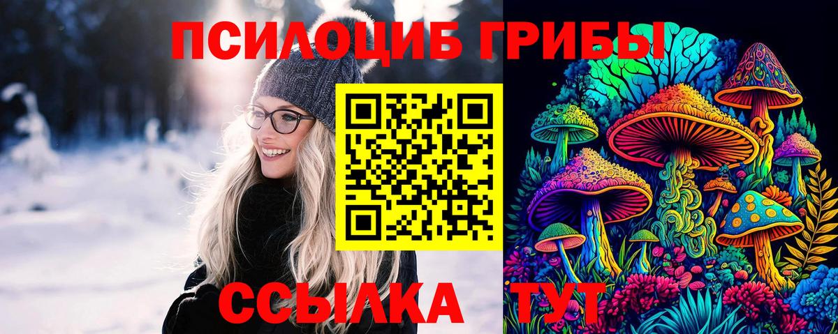 Черняховск  Псилоцибиновые грибы Magic Shrooms  наркошоп  Вход с VPN  Галлюциногенные грибы MAGIC MUSHROOMS 